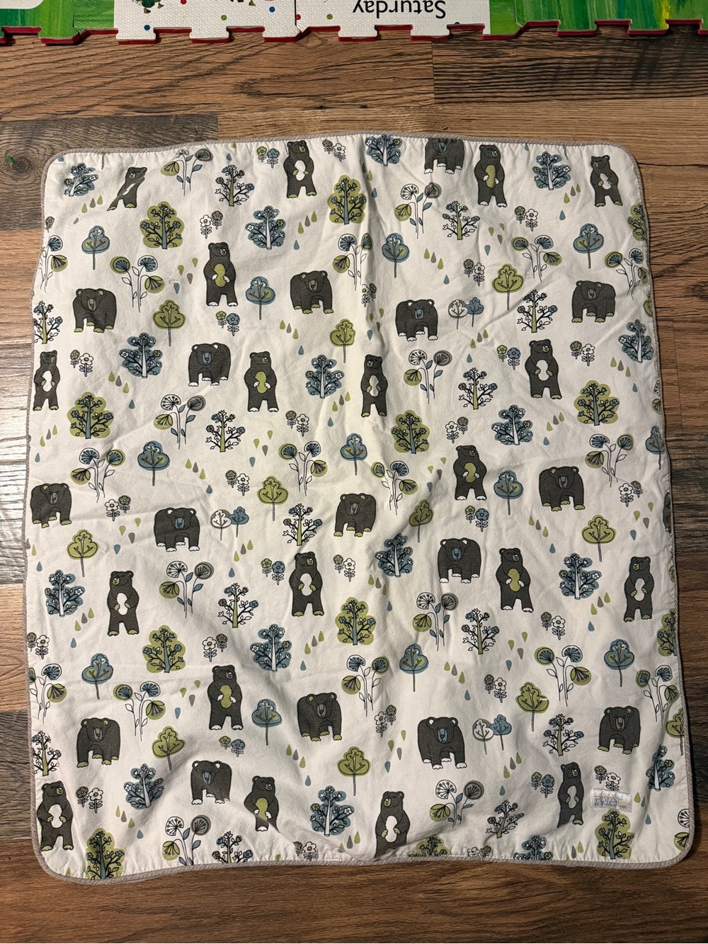 Sweet Potato by Glenna Jean Reversible Bear Blanket Unisex 38 x 34"- woodland